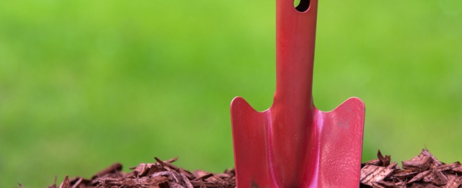 How to Mulch Your Trees the Right Way