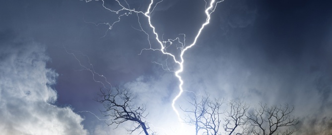 tree-care-storms-669x272