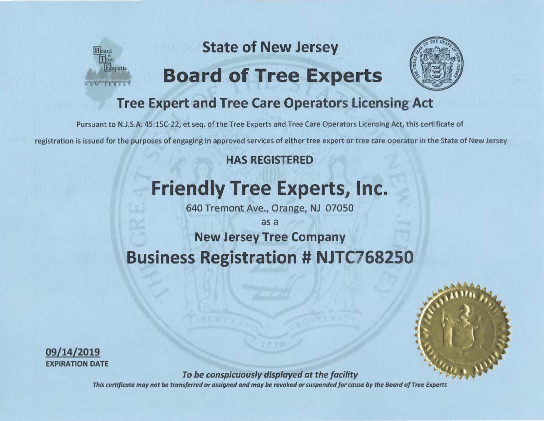 NJ-Tree-Expert-and-Tree-Care-Reg-NJTC768250