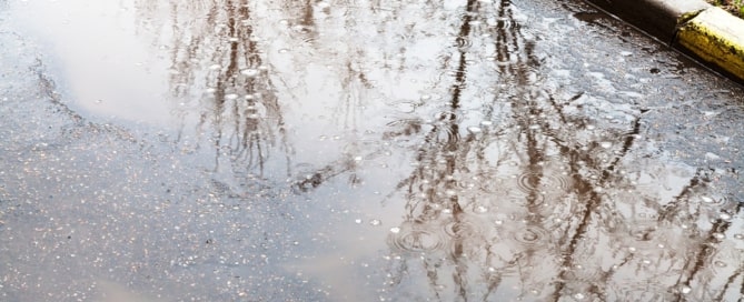 How Trees Help Retain (and Reduce) Stormwater Runoff