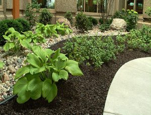 brown-dyed-mulch1