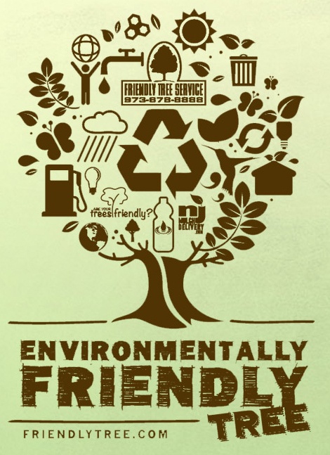 https://friendlytree.com/wp-content/uploads/2020/01/environmentally-friendly-tree.jpg