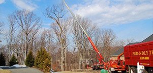 home-icon-tree-pruning-300.jpg