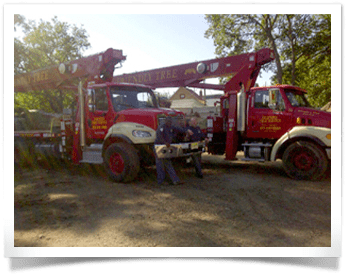 Cherry Pickers